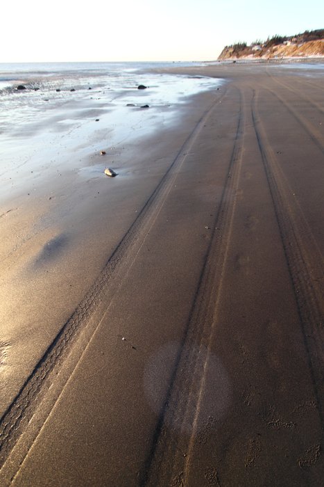 Truck tracks on the beach, decorated by occasional splotches of oil.
