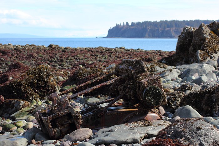 Rusting metal provides a home for seaweed and barnacles at  Naskowak Point