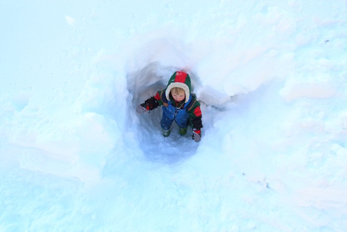 Katmai emerges from a cave dug into the 5 feet of snow in the yard.