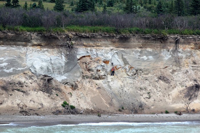 An erosional bank on the shore of Lake Iliamna shows possible evidence of past earthquake shaking.