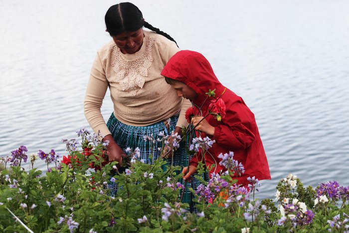 Katmai helps a local place flowers amongst potatoes growing on Isla de la Luna, Bolivia.