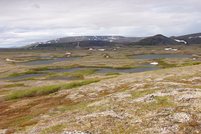 Small tundra lakes near the upper Koktuli River, tailings lake area. 