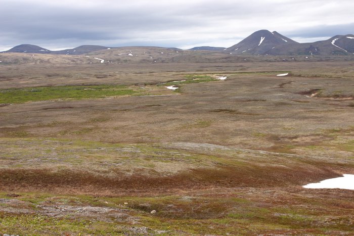 The upper Koktuli River, a green ribbon snaking through the plains of tundra, tailings lake area. 