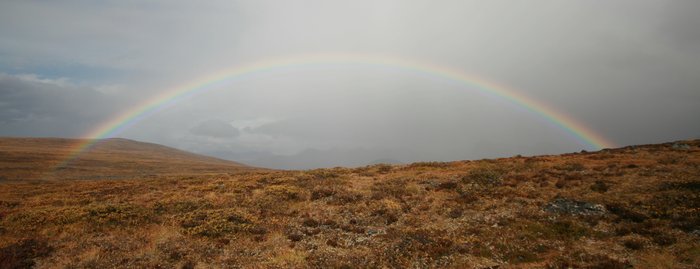 Rainbow Over Tundra