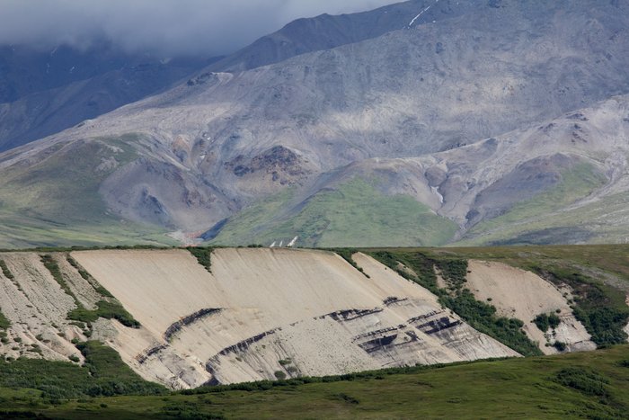 Coal seams along the north side of the Alaska Range