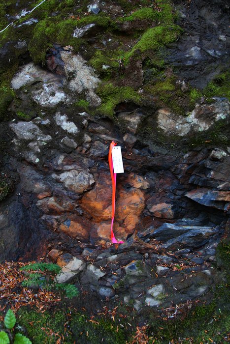 A riverbank cliff is marked by mining exploration activity.
