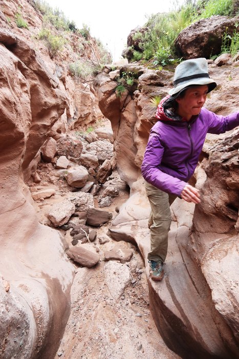Erin climbs the side of a small sandstone gully in the Altiplano.