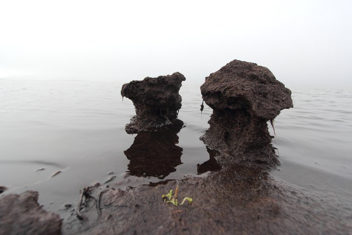 Waves washing peat fibers eroded from arctic shores sculpt strange arches and pillars like these.