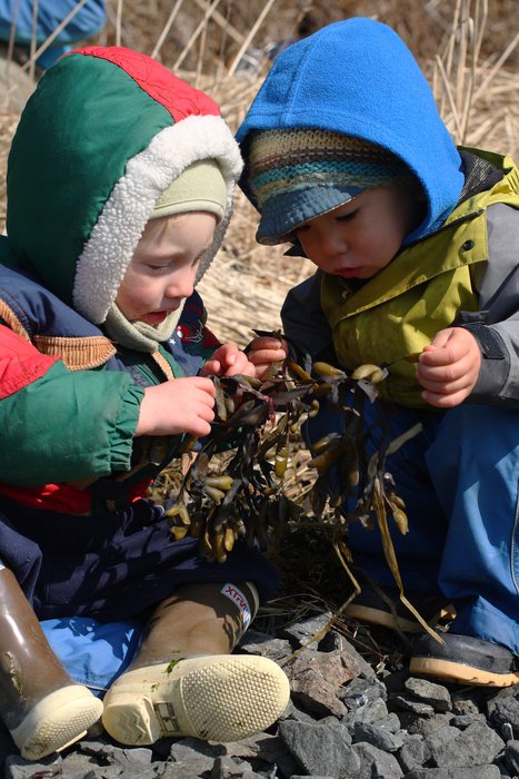 Nothing like sharing a meal of dried bladderwrack with a good friend.