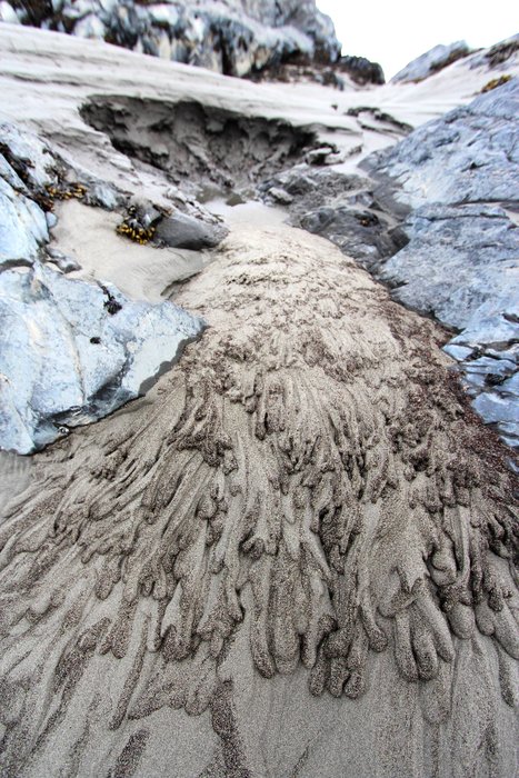 Not sure exactly what caused this sort of bizarre sieve deposit along Turnagain Arm.