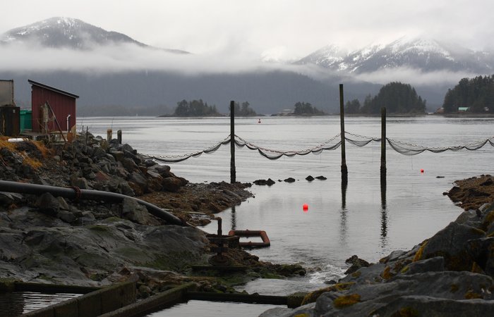 Nets line the entrance to a small hatchery in downtown Sitka