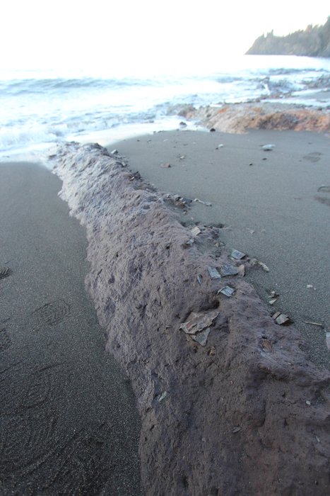 A layer of soil, likely dating to more than 5000 years ago when sea level was lower, outcrops from a beach near Seldovia.