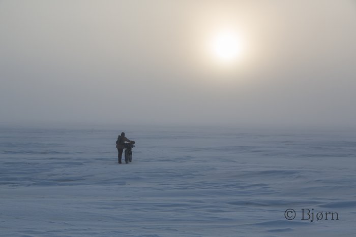 Kim walks out on the sea ice through morning ice fog.