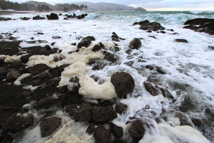 Waves crash on the outside beach, building clumps of rubbery foam.