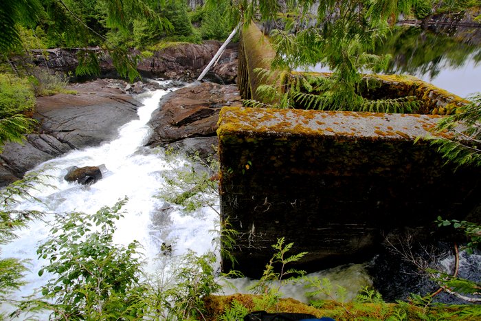 A long-abandoned dam blocks salmon passage to Cougar, Bear, and Deer Lakes on Princess Royal Island.