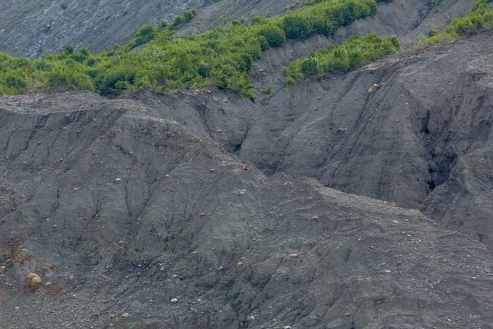 Andrew Mattox hikes up a steep ridge to access the highest water-mark of the landslide generated tsunami - in excess of 600 feet above sea level - which, occurred in October 2015. 