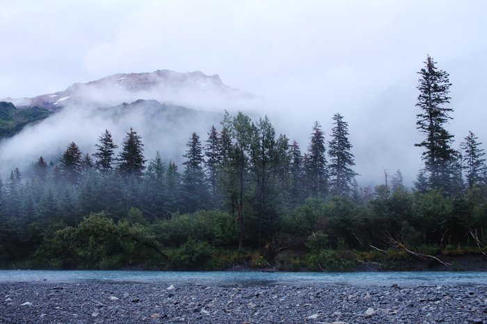 Nearly every morning the rainforest along the Taylor River was immersed in whisps of fog.