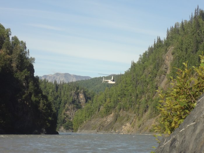 Telemetry helicopter at Portage Creek