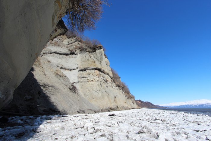 A fault cuts Teritary sediment along Kachemak Bay.