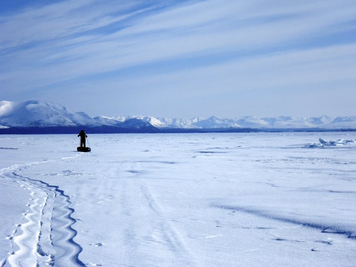 Waddle tracks from a packraft gear sled, near Newhalen on the north shore of Lake Iliamna
