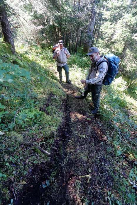 Park officials inspect the newly built Tutka Backdoor trail.