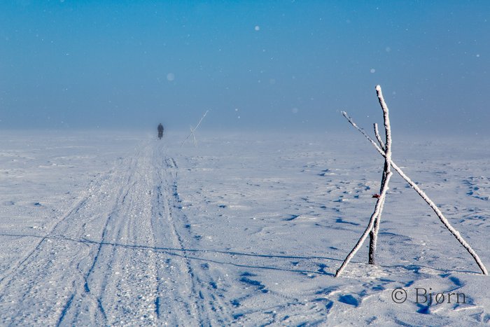 In an endless sea of white, trail markers are critical for traveler navigation.