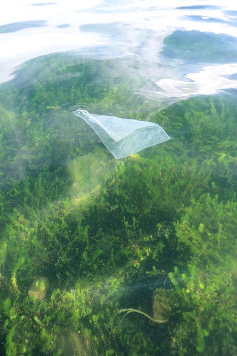 A plastic bag floats in the crystalline waters of Lake Titicaca.