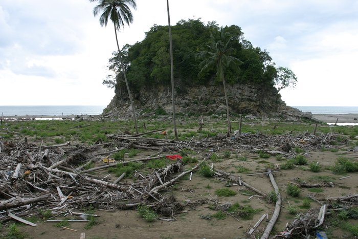 Soil and most plants were stripped from the base of this hill by violent tsunami currents.