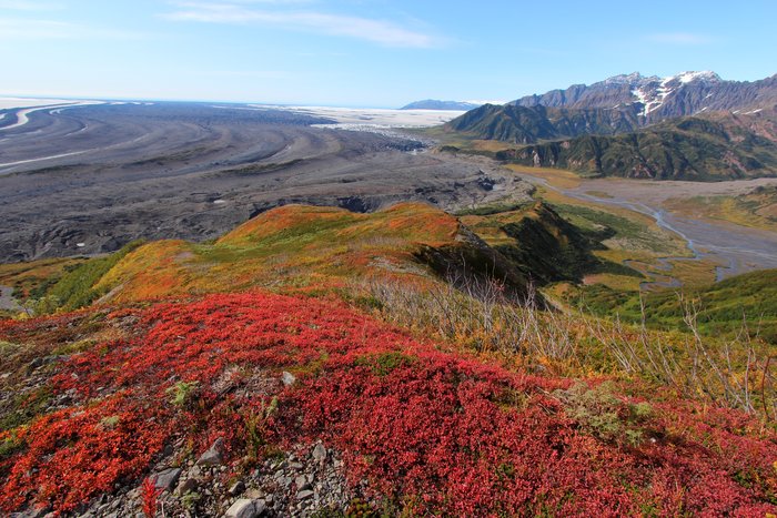 A fall-colored ridge on the Samovar Hills provides a view over the expanse of Malaspina Glacier