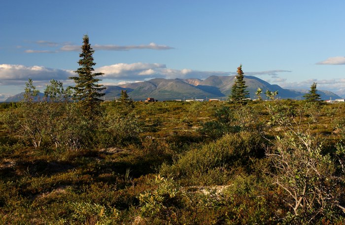 Looking across the tundra by the Newhalen River, with Newhalen's buildings in the distance.