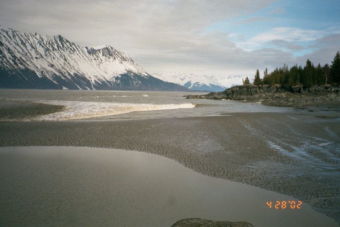 Photo 2 - looking east up Turnagain Arm.  The bore is about to reach the gently sloping sand/silt beach.