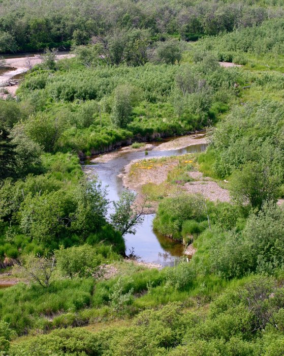 Side channel of Upper Talarik Creek.