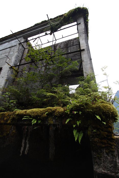 Many decades after the miners left, moss, bushes, and trees are taking over this concrete building.