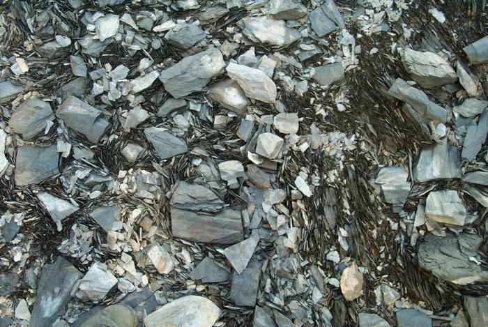 Disk-shaped gravel will sometimes organize into patches where rocks are oriented vertically instead of horizontally.