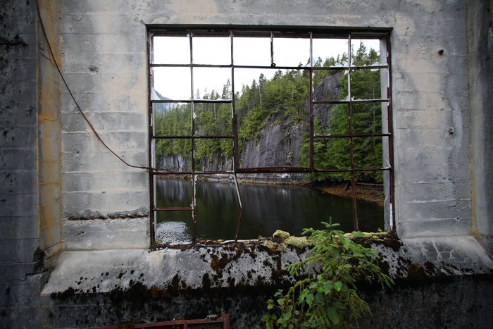 Looking out a window on a mine building.  Trees grow inside as well as out, since the roof long ago collapsed.