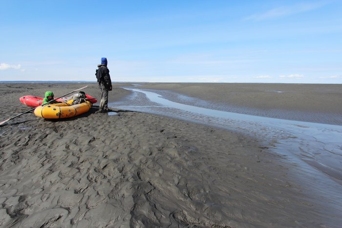 We waited in the middle of silt dunes in Chickaloon Bay for the rising tide.  Eventually it cam rushing in to fill the network of sloughs and then cover the dunes between them.