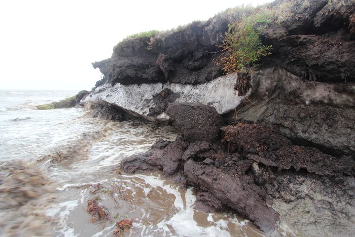 Over 50 degree water quickly erodes the base of this permafrost bluff near Pt. Lay, Alaska.