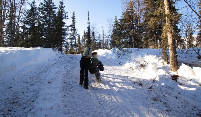 Ice road paralleling Iditarod trail and Skwentna river.