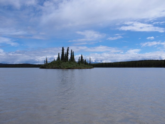 Wooded islands are a unique feature of the Susitna