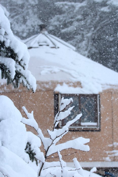 A heavy dump of wet snow brings the accumulation at the yurt up to 4 and a half feet.  