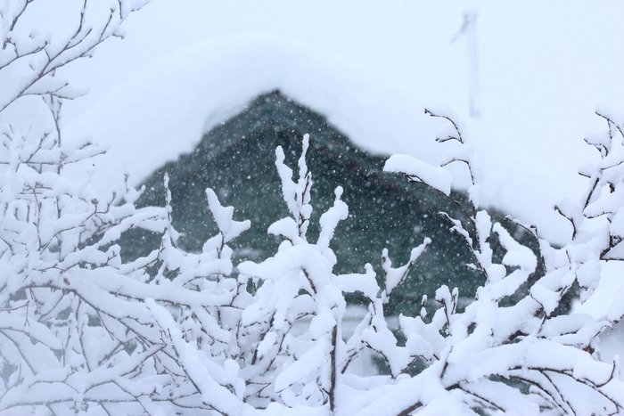 A heavy dump of wet snow brings the accumulation at the yurt up to 4 and a half feet.  